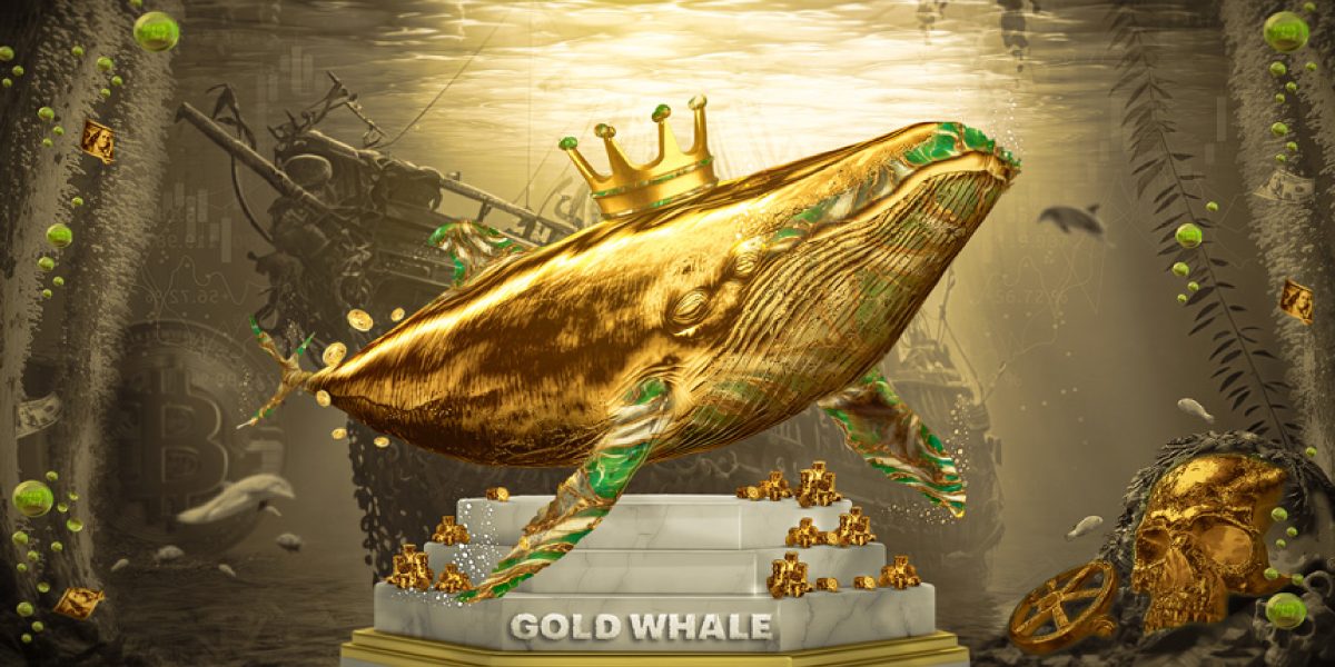 GOLD WHALE Contest