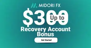 Forex Loss Recovery